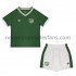 Maillot Irlande Enfant Tenue Domicile 2021 Manche Courte