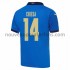 Maillot Italie Federico Chiesa 14 Tenue Domicile Euro 2020 Manche Courte