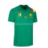 Maillot Cameroun Tenue Domicile Coupe du Monde 2022 Manche Courte