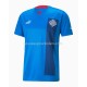 Maillot Islande Tenue Domicile 2022 Manche Courte