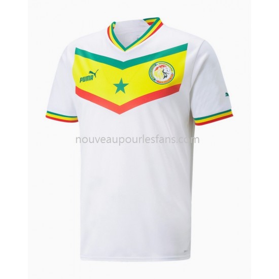Maillot Sénégal Tenue Domicile Coupe du Monde 2022 Manche Courte