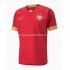 Maillot Serbie Tenue Domicile Coupe du Monde 2022 Manche Courte