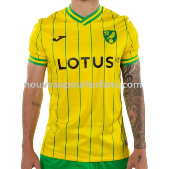 Maillot Norwich City Homme Tenue Domicile 2022-2023 Manche Courte