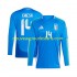 Maillot Italie Chiesa 14 Homme Tenue Domicile Euro 2024 Manche Longue