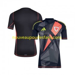 Maillot Pays de Galles Gardien Homme Tenue Domicile 2024 Manche Courte