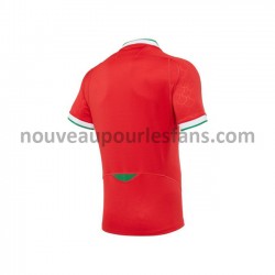 Maillot Rugby Pays de Galles Tenue Domicile 2020-2021 Manche Courte