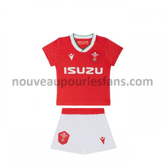 Maillot Rugby Pays de Galles Enfant Tenue Domicile 2020-2021 Manche Courte